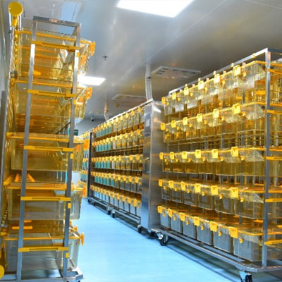 临漳动物培养舱